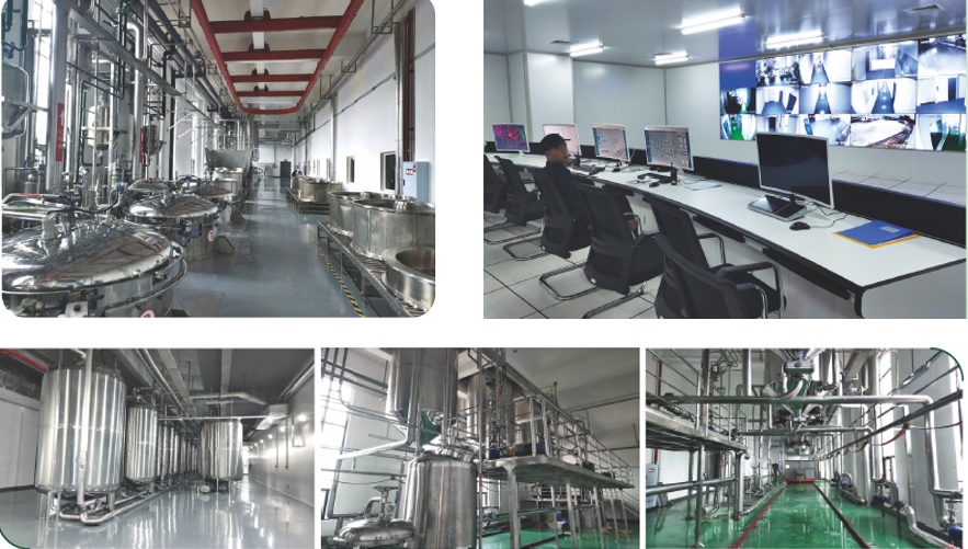 东升国际官网-不凡成就非凡,相信品牌力量