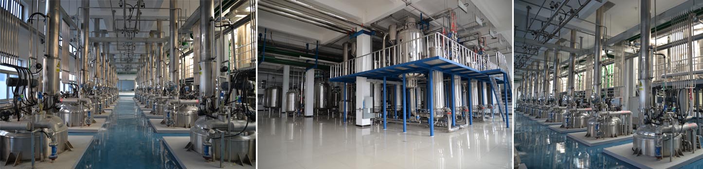 东升国际官网-不凡成就非凡,相信品牌力量